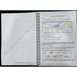 Documents lycée pilote Sfax 1+2 matière svt 3ème sc