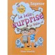 LA BELLE SURPRISE DE NAIM - LE PETIT SAGE