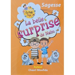 LA BELLE SURPRISE DE NAIM - LE PETIT SAGE