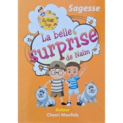 LA BELLE SURPRISE DE NAIM - LE PETIT SAGE