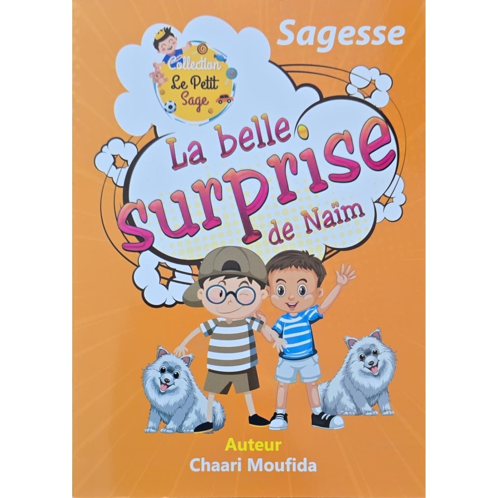 LA BELLE SURPRISE DE NAIM - LE PETIT SAGE
