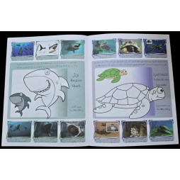 اتعرف و الون الحيوانات البحرية 7