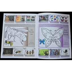 اتعرف و الون الحشرات