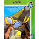 الايلان