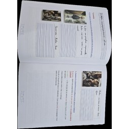 L'élixir 6 ème tome 1