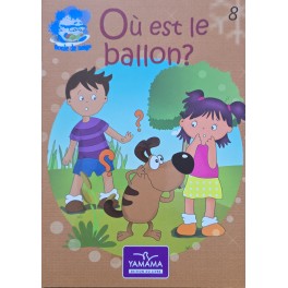 OU EST LE BALLON – BOULE DE NEIGE N08