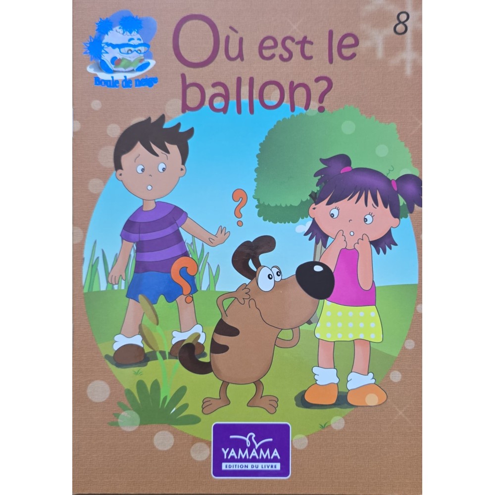 OU EST LE BALLON – BOULE DE NEIGE N08