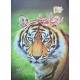 رحلة نمرود
