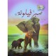 صبر فيلونة