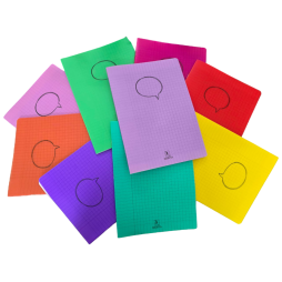 CAHIER PIQURE  SEYES 96 PAGES 21*29.7 SELECTA