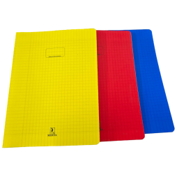 CAHIER BROCHURE 300 PAGES SELECTA 24*32