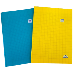 CAHIER BROCHURE 288 PAGES ALADIN  21 x 29.7 cm