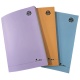 CAHIER PIQURE  SEYES 192 PAGES 21*29.7 LINEAPRO OMEGA