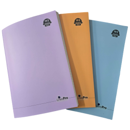 CAHIER PIQURE  SEYES 192 PAGES 21*29.7 LINEAPRO OMEGA