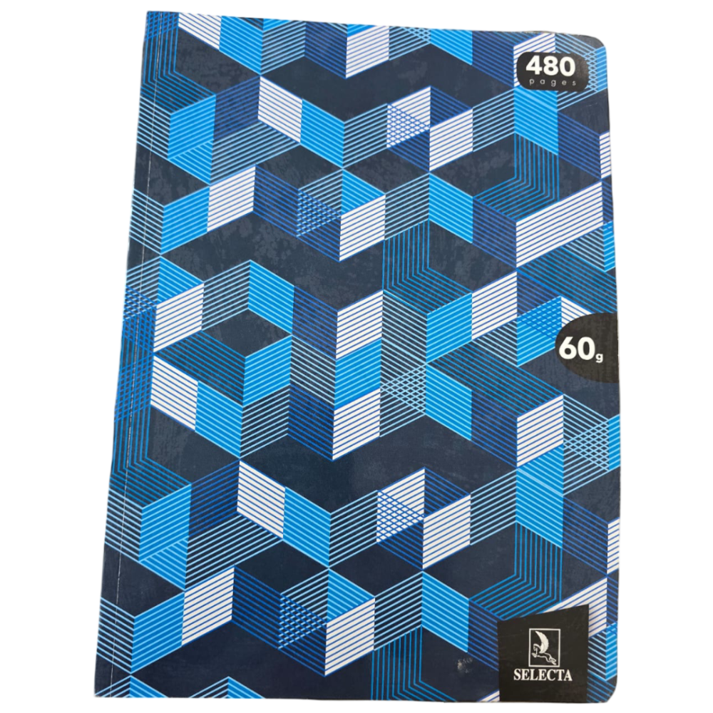 CAHIER BROCHURE  FANTAISIE SELECTA 480 PAGES SEYES 21*29*.7