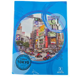 CAHIER PIQURE SELECTA SEYES 192 PAGES FORMAT A4
