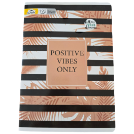 CAHIER PIQURE ALADIN SEYES 192 PAGES FORMAT A4
