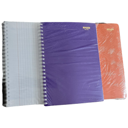 CAHIER WIREO SPEED 300 PAGES 21*29.7