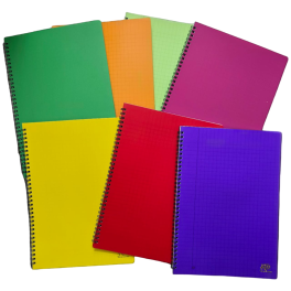 CAHIER WIREO  KO100 PAGES GF UNI 21*29.7