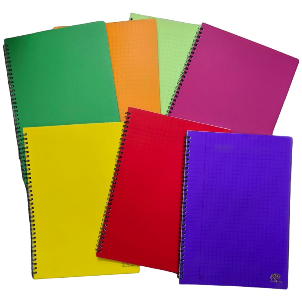 CAHIER WIREO  KO100 PAGES GF UNI 21*29.7