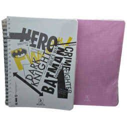 CAHIER WIRO SELECTA  400 PAGES FANTAISIE FORMAT A4 GM