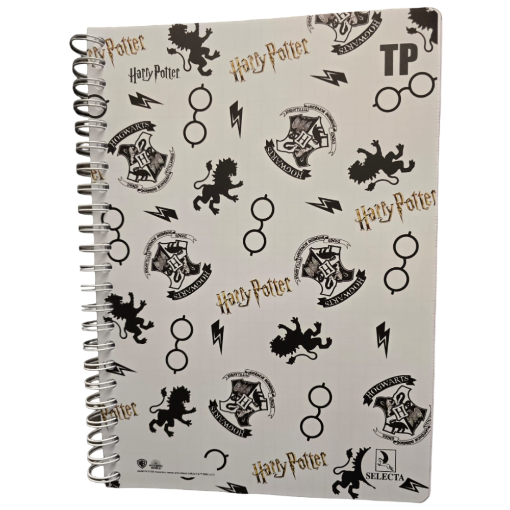 CAHIER TP SELECTA 300 PAGES GF