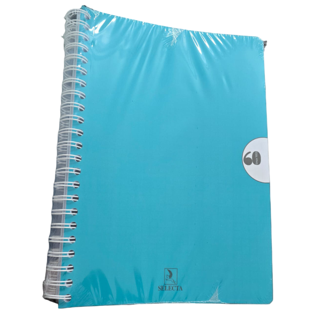 CAHIER WIRO SELECTA 300 PAGES GF UNI 21*29.7 60G