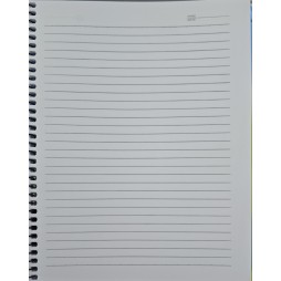 Bravo New 4 Subject Notebook, 168 Sheets, 27.3 cm x 19.8 cm Size