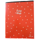 CAHIER PIQURE FANTAISIE 96 PAGES 24*32 5/5
