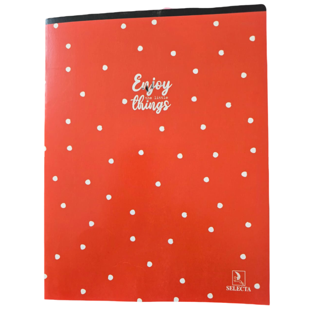 CAHIER PIQURE FANTAISIE 96 PAGES 24*32 5/5