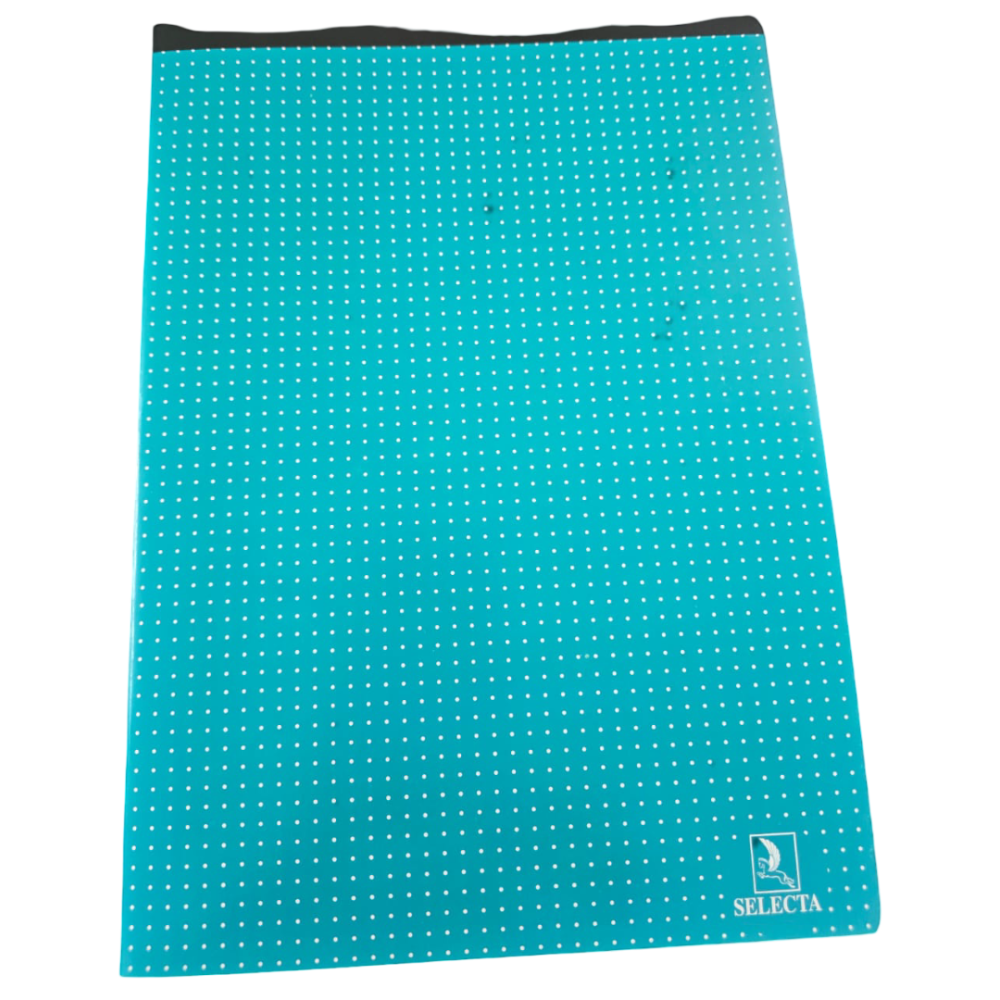 CAHIER PIQUE SEYES A4 96 PAGES 5/5 - selecta