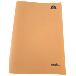 CAHIER PIQUE  A4 96 PAGES  5/5 - MUST