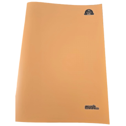 CAHIER PIQUE  A4 96 PAGES  5/5 - MUST