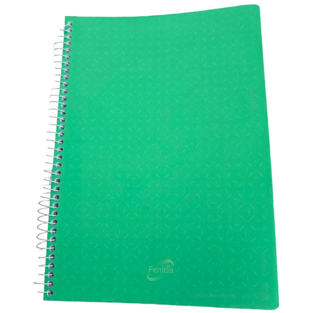 CAHIER WIRO GM 400P FENICIA