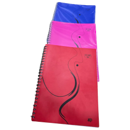 CAHIER WIRO TP 192P GF 24*32