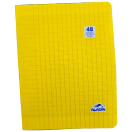 cahier aladin 48 pages 17*22 PM