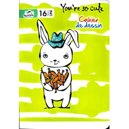 CAHIER DE DESSIN 16  PAGES ALADIN