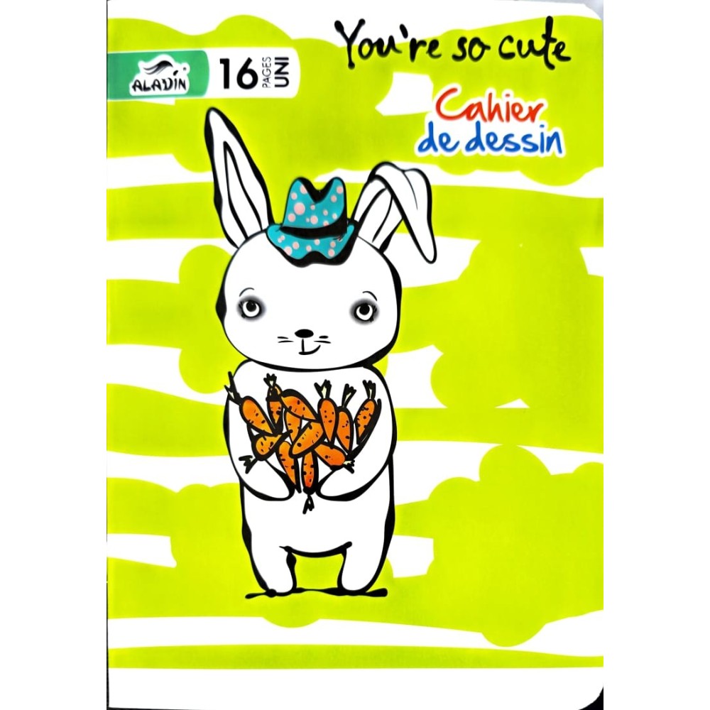 CAHIER DE DESSIN 16  PAGES ALADIN
