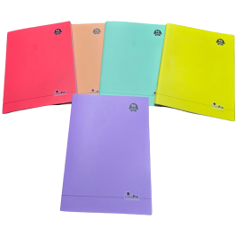 CAHIER PIQURE 96 PAGES LINEAPRO 17*22