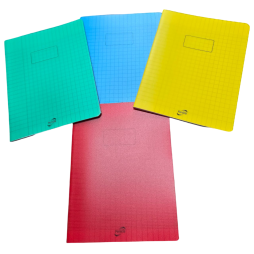 CAHIER PIQURE 96 PAGES FENICIA 17*22