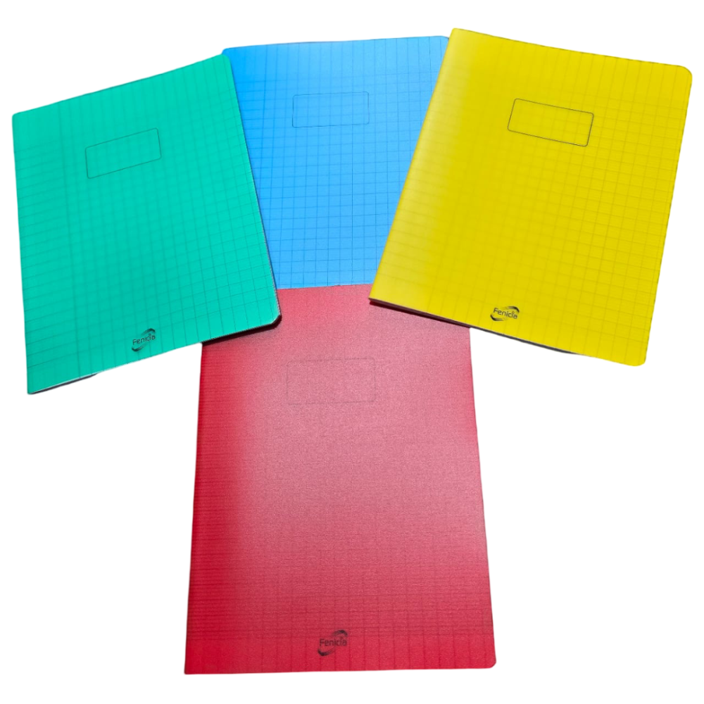 CAHIER PIQURE 96 PAGES FENICIA 17*22