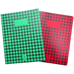 CAHIER BROCHURE A CARREAU  288 PAGES SELECTA  17*22