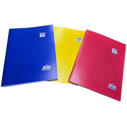 Cahier BROCHURE 192P  Plastifier 60g   ALADIN