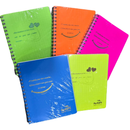 CAHIER INTEGRAL DE 300 PAGES ALADIN  PM 17*22