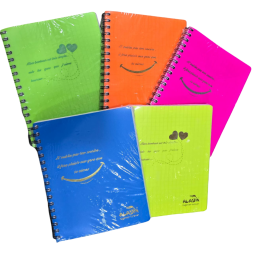 CAHIER INTEGRAL DE 300 PAGES ALADIN  PM 17*22