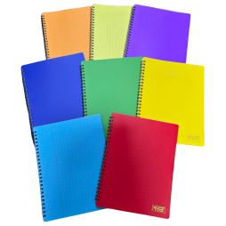 CAHIER  WIRO DE 100 PAGES ALADIN  PM 17*22