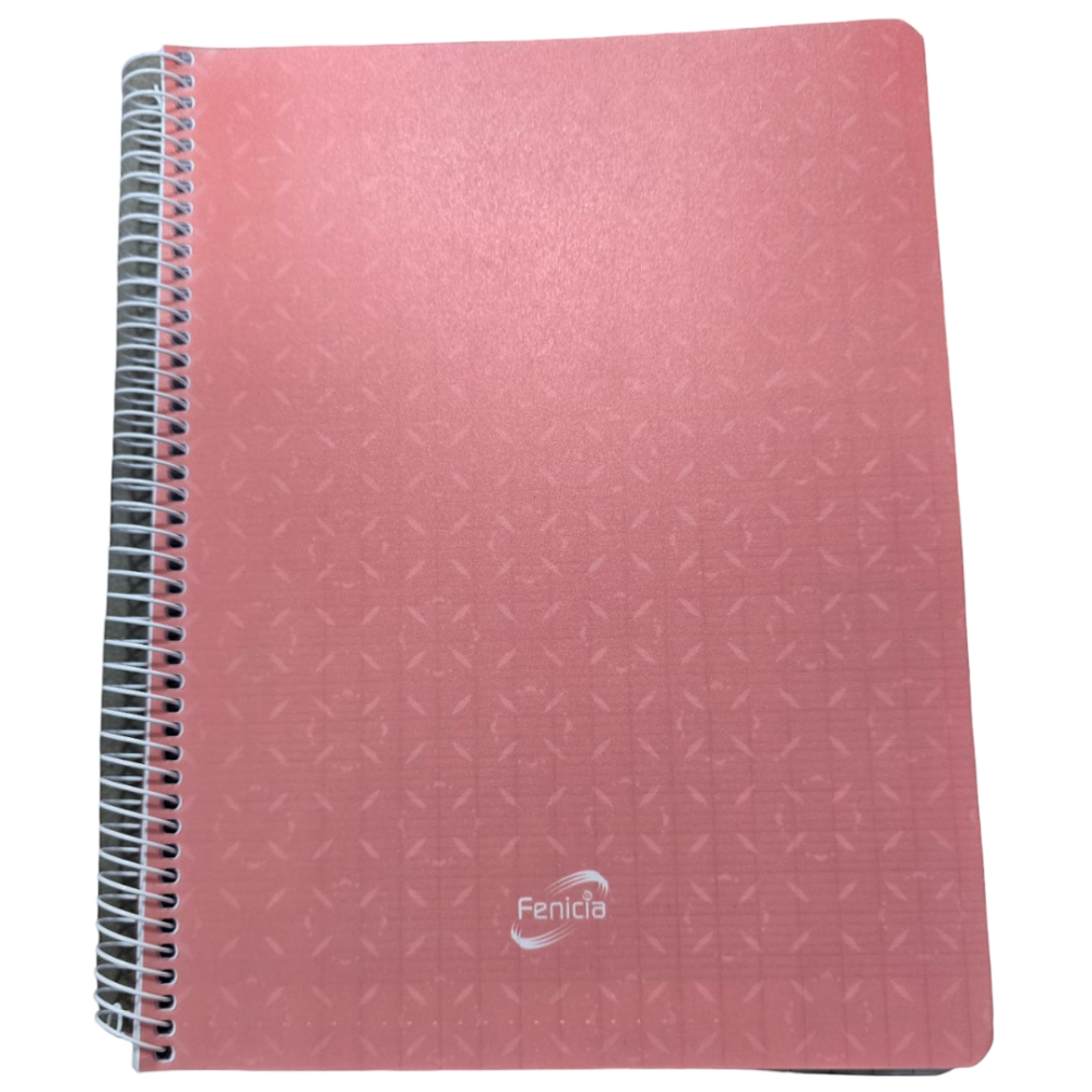 CAHIER SPIRALE FENICIA 200 PAGES PM