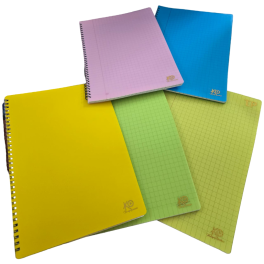 CAHIER TRAVAUX PRATIQUES  KO 100 PAGES GF UNI