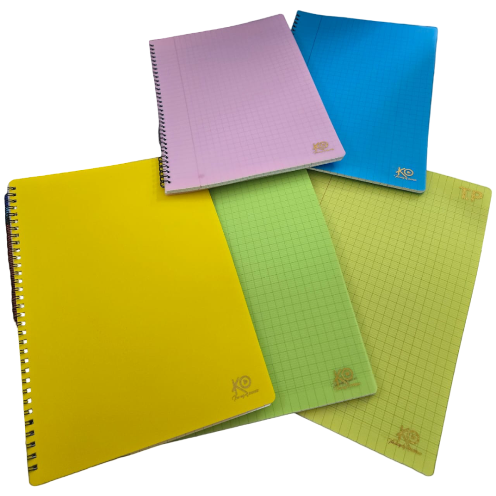 CAHIER TRAVAUX PRATIQUES  KO 100 PAGES GF UNI