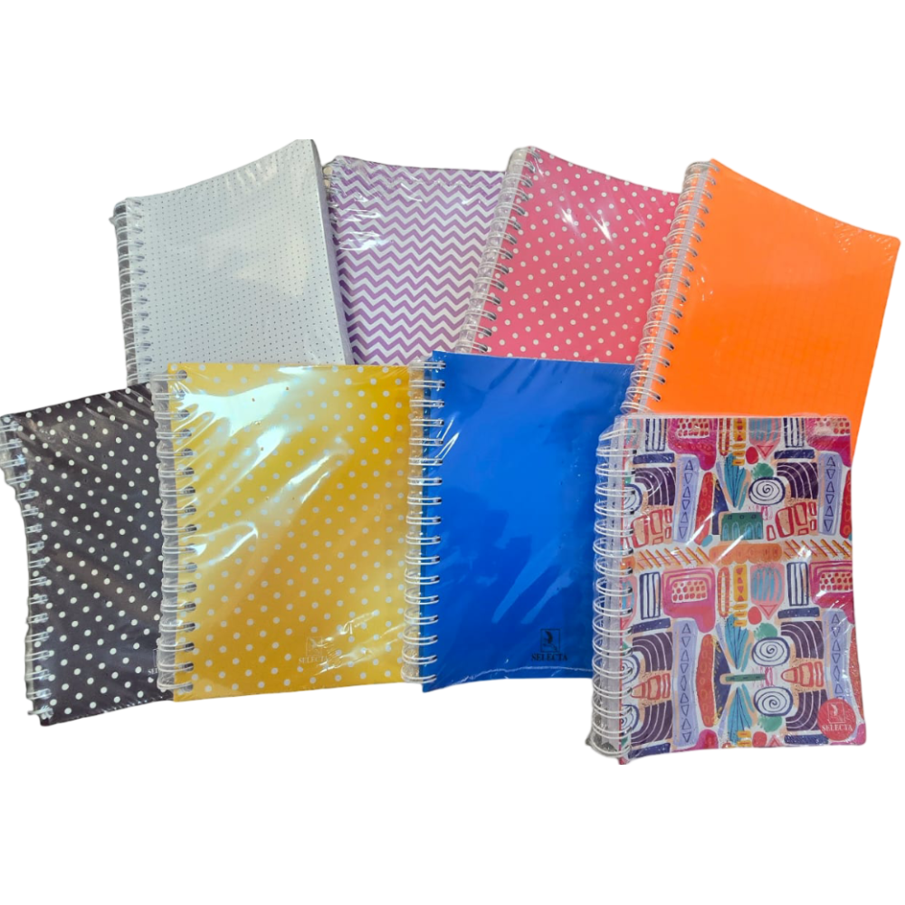 CAHIER WIRO SELECTA 300 PAGES PM